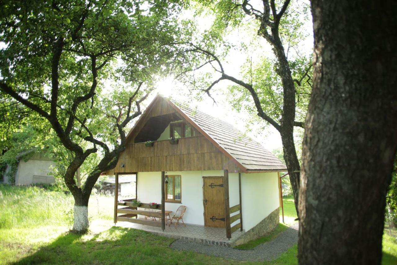 Еко Дім З Соломи Villa Solochin Exterior photo